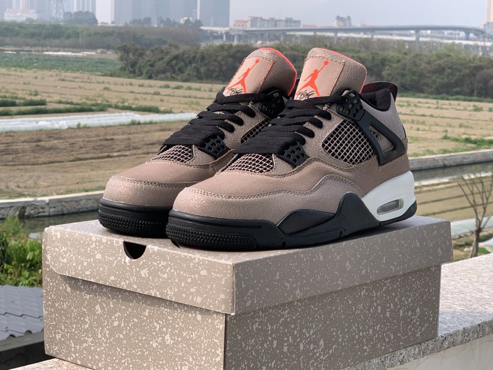 2021 Air Jordan 4 Taupe Haze Shoes
